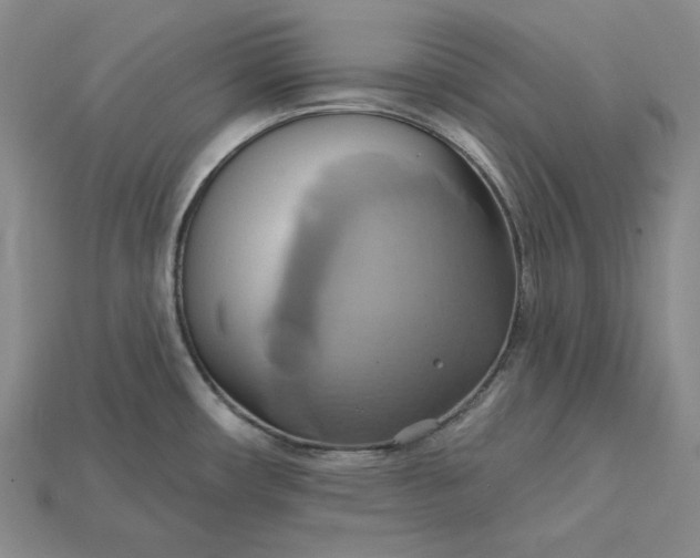 X0000115171482200911121729