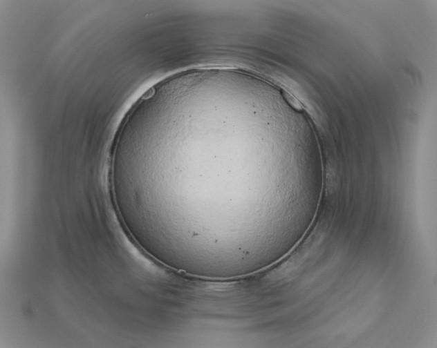 X0000115171484200911121729