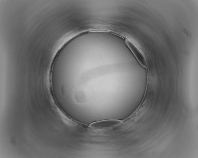 X0000115171485200911121729