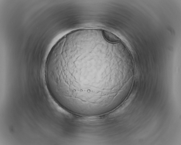 X0000115171486200911121729