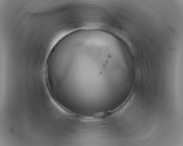 X0000115171487200911121729