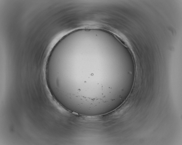 X0000115171488200911121729