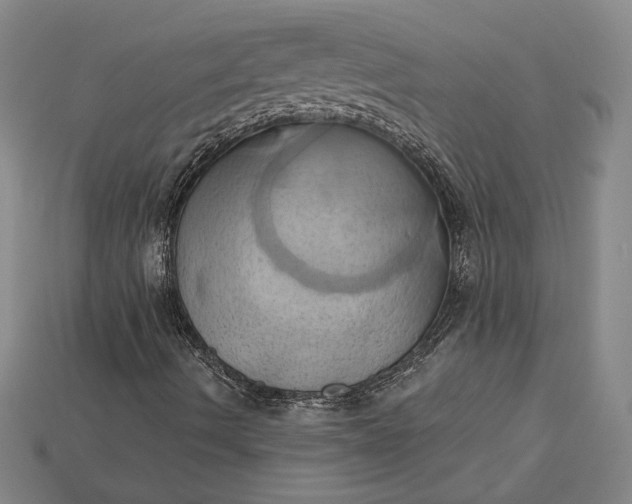 X0000115171490200911121728