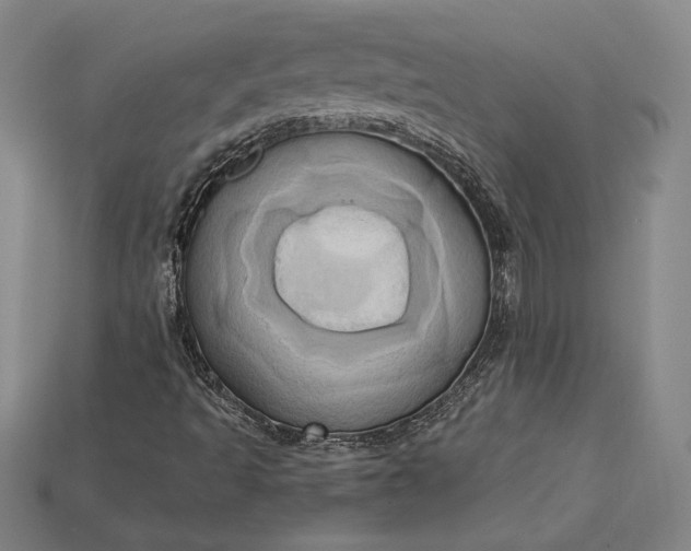 X0000115171493200911121728