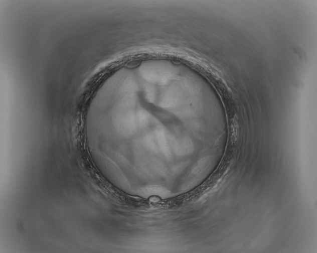 X0000115171494200911121728