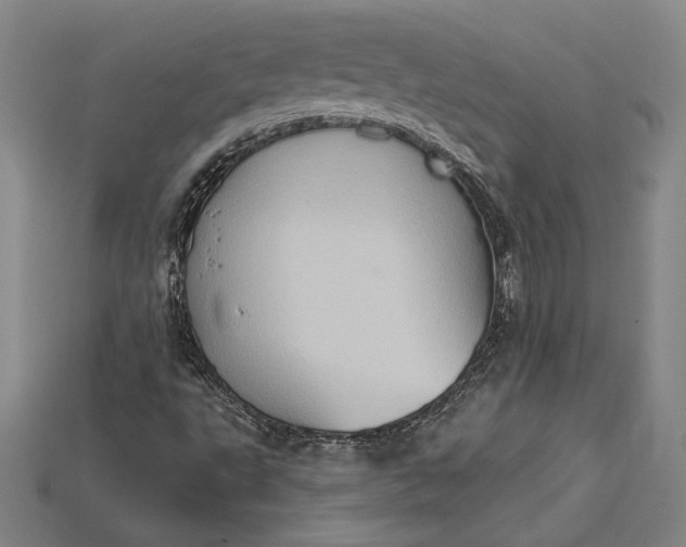 X0000115171495200911121728