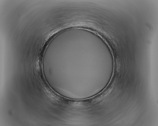 X0000115171497200911121728