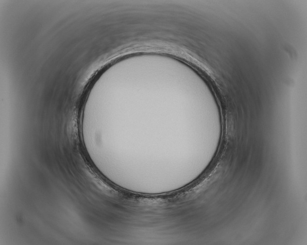 X0000115171498200911121728