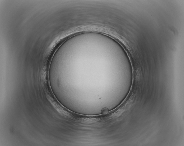 X0000115171499200911121728