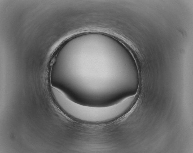 X0000115171502200911121728