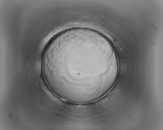 X0000115171503200911121728