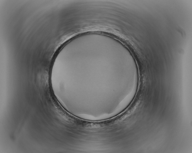 X0000115171505200911121728