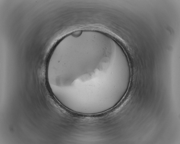 X0000115171506200911121728