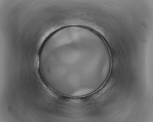 X0000115171509200911121728