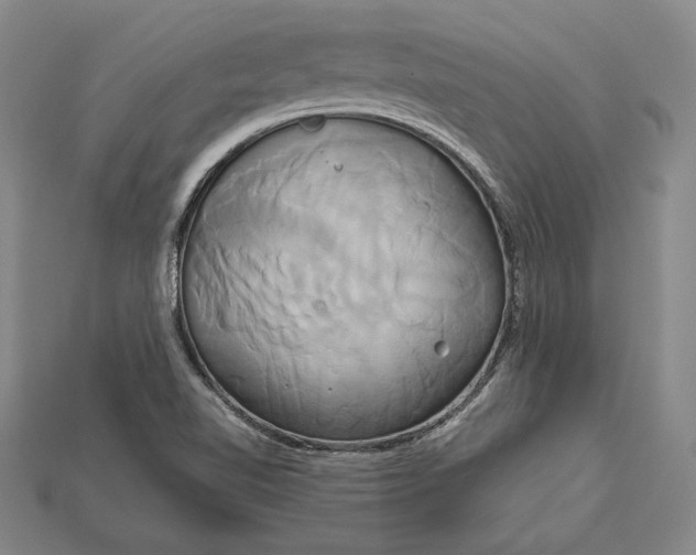 X0000115171510200911121728