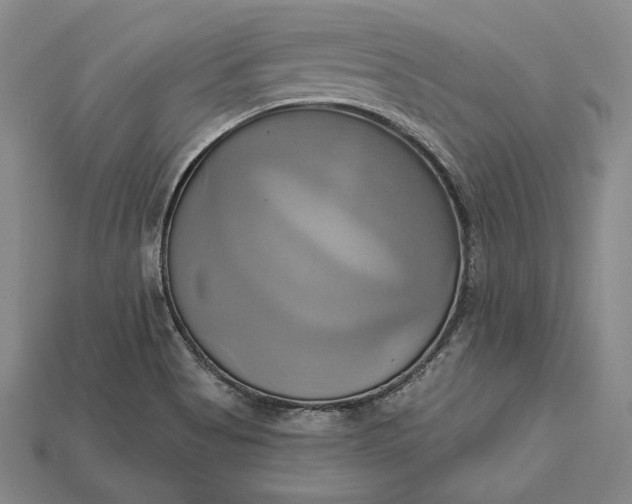 X0000115171513200911121728