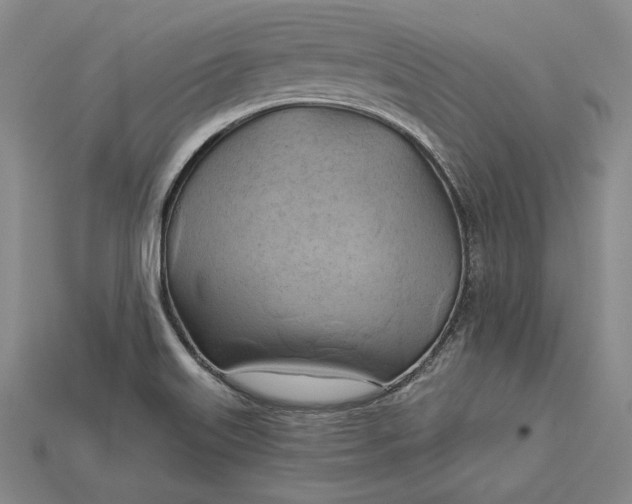 X0000115171515200911121728