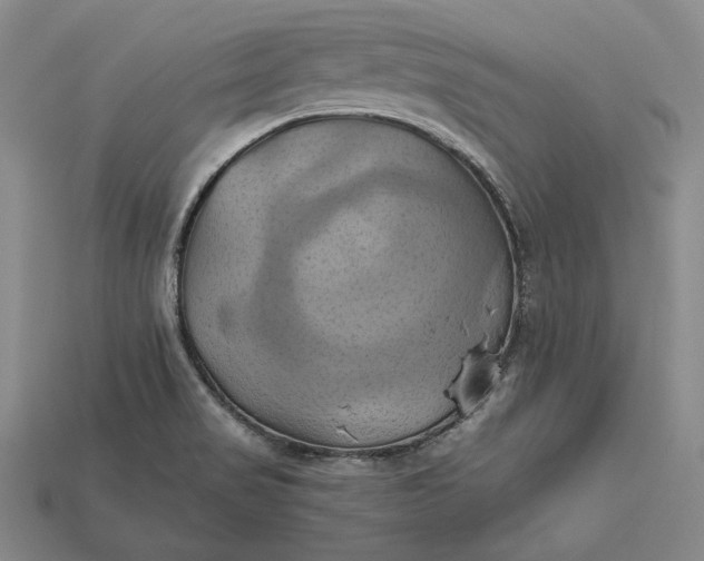 X0000115171517200911121728