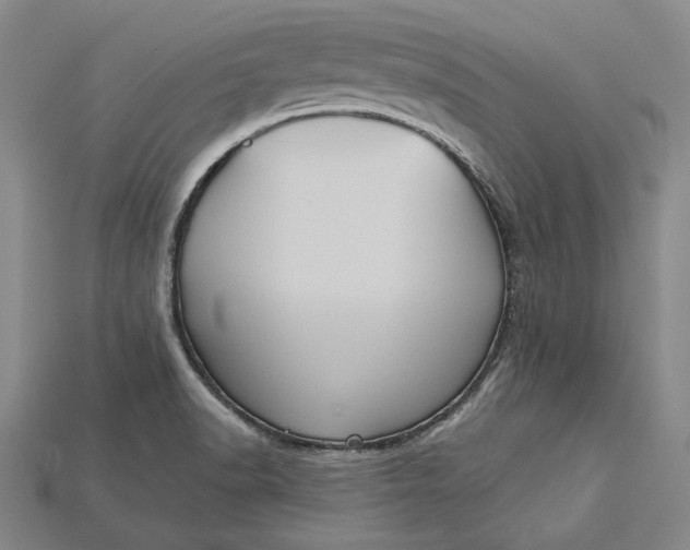 X0000115171518200911121728
