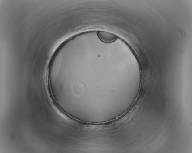 X0000115171519200911121728
