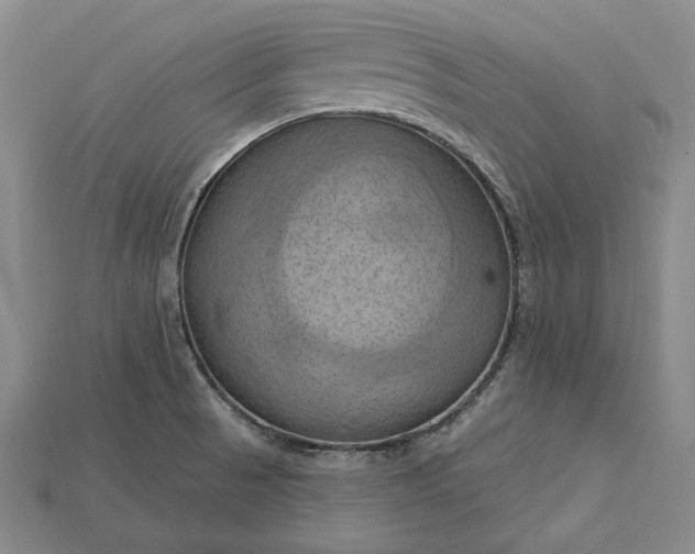 X0000115171521200911121728