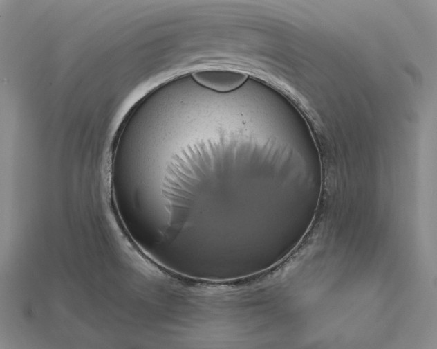X0000115171522200911121728