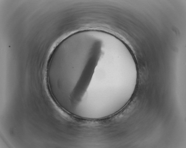 X0000115171525200911121728
