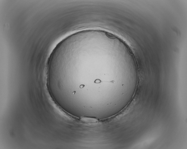 X0000115171526200911121728