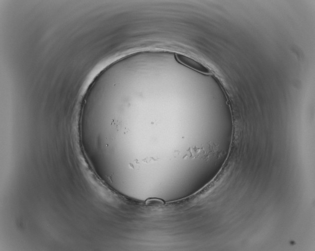 X0000115171530200911121728