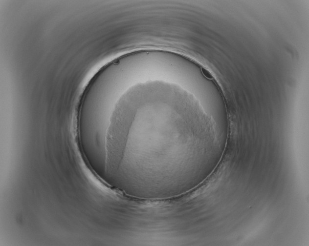 X0000115171531200911121728
