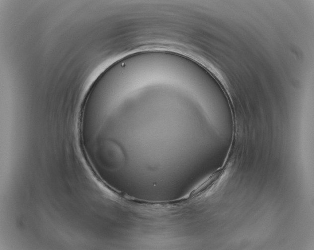 X0000115171533200911121728