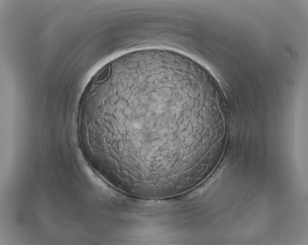 X0000115171534200911121729