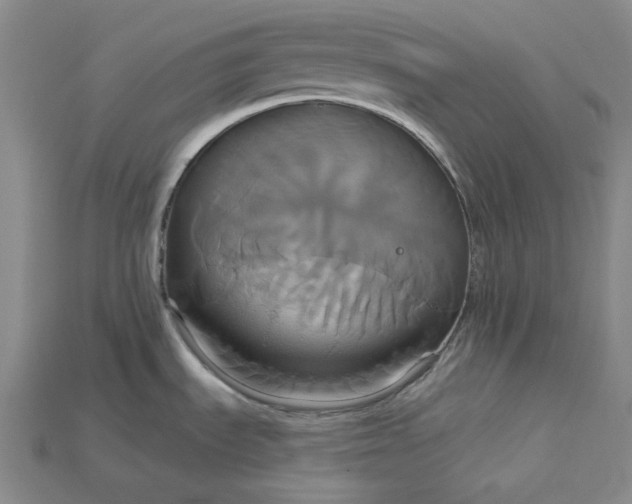 X0000115171535200911121729