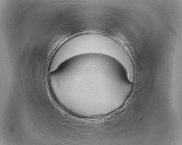 X0000115170001200911181416