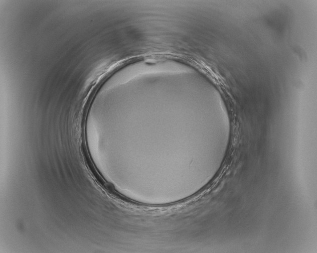 X0000115170002200911181416