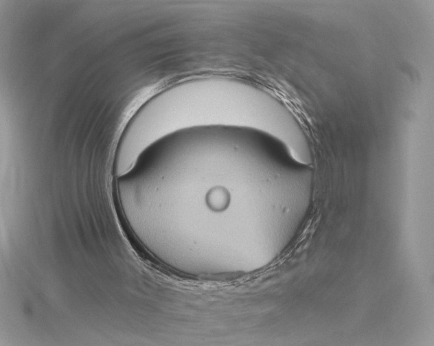 X0000115170003200911181416