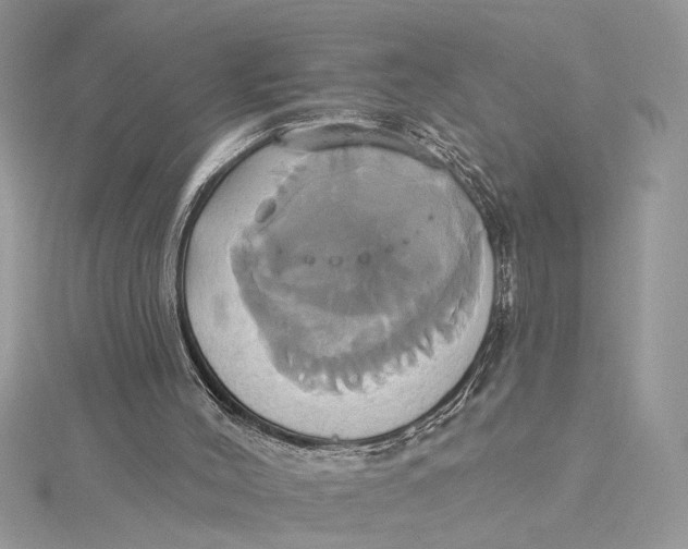 X0000115170004200911181416