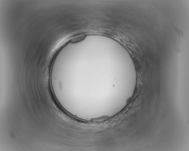 X0000115170005200911181416