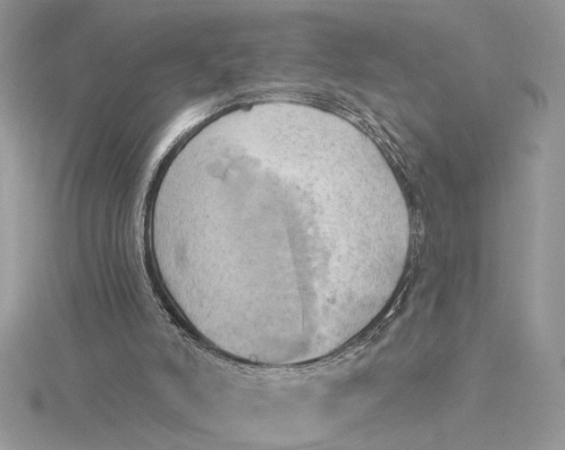 X0000115170006200911181416