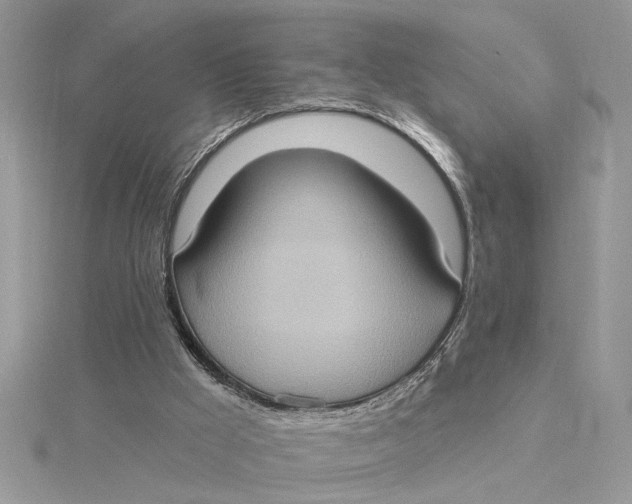 X0000115170009200911181416