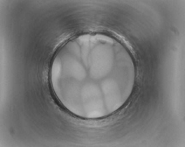 X0000115170010200911181416