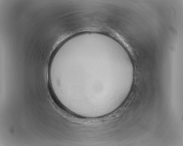 X0000115170011200911181416