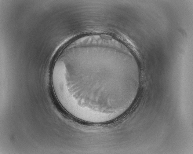 X0000115170012200911181416