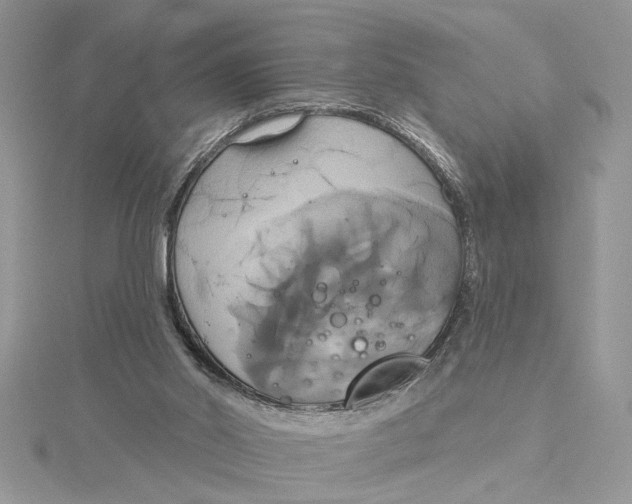 X0000115170014200911181416