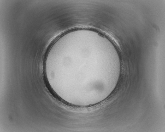 X0000115170015200911181416