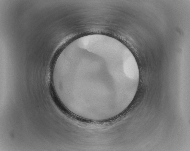 X0000115170016200911181416