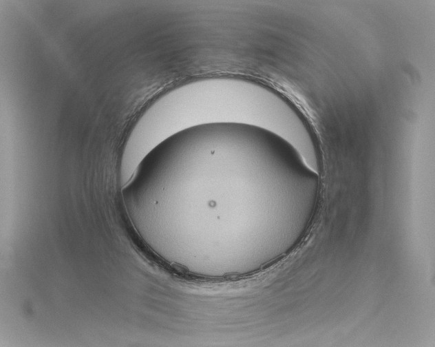 X0000115170017200911181416