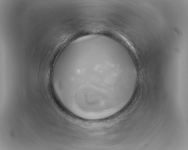 X0000115170018200911181416