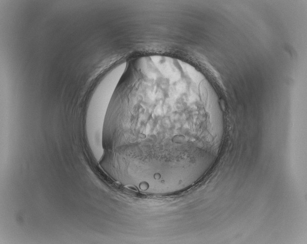 X0000115170020200911181415