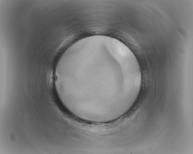 X0000115170024200911181415